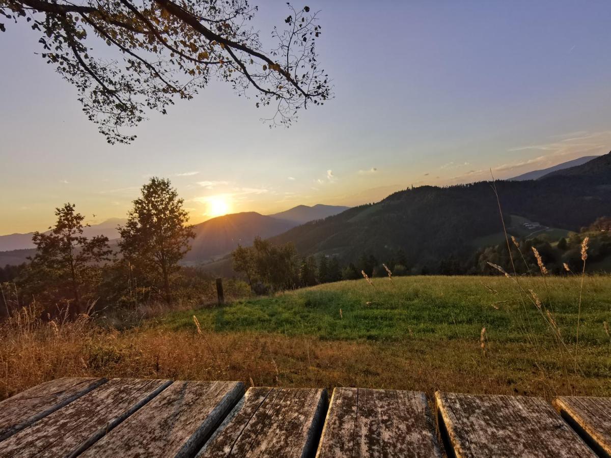 Villa Richterberg With Sauna & Hot Tub Slovenj Gradec Dış mekan fotoğraf
