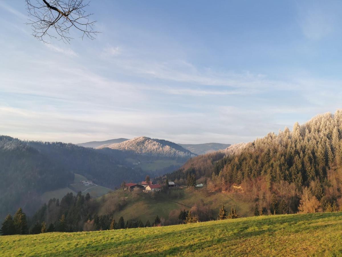 Villa Richterberg With Sauna & Hot Tub Slovenj Gradec Dış mekan fotoğraf