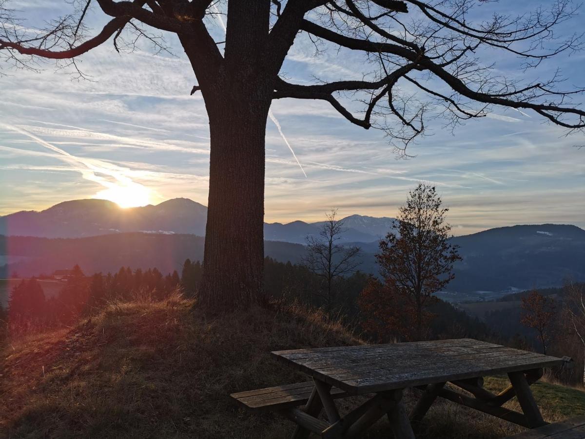 Villa Richterberg With Sauna & Hot Tub Slovenj Gradec Dış mekan fotoğraf