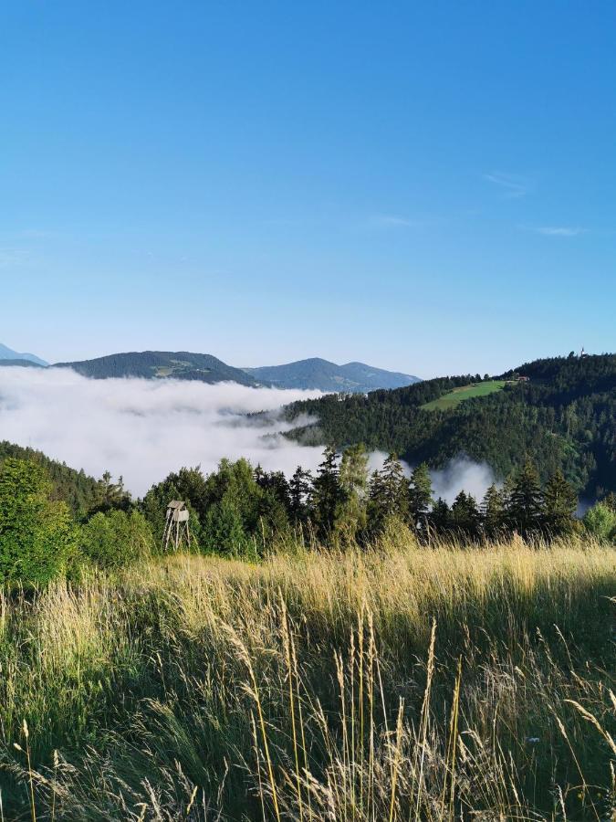 Villa Richterberg With Sauna & Hot Tub Slovenj Gradec Dış mekan fotoğraf