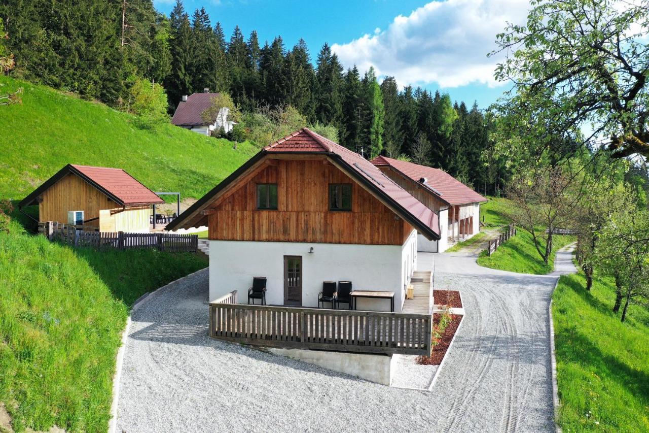 Villa Richterberg With Sauna & Hot Tub Slovenj Gradec Dış mekan fotoğraf