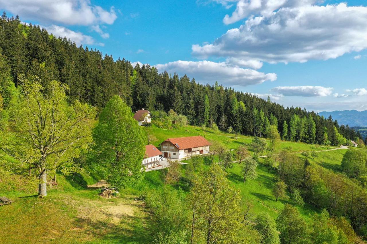 Villa Richterberg With Sauna & Hot Tub Slovenj Gradec Dış mekan fotoğraf