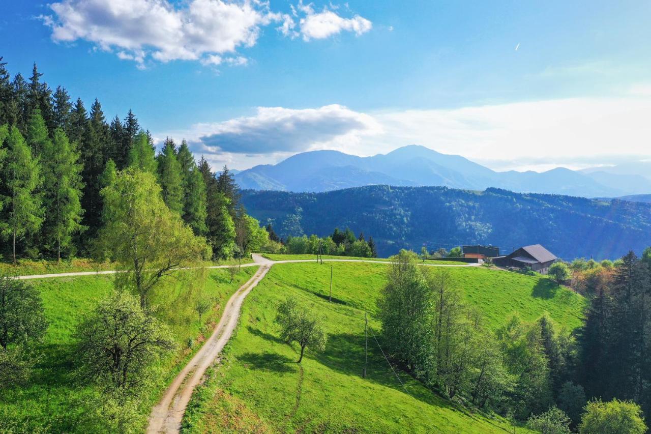 Villa Richterberg With Sauna & Hot Tub Slovenj Gradec Dış mekan fotoğraf