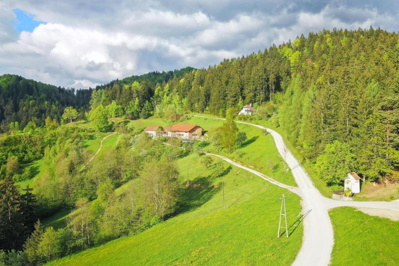 Villa Richterberg With Sauna & Hot Tub Slovenj Gradec Dış mekan fotoğraf
