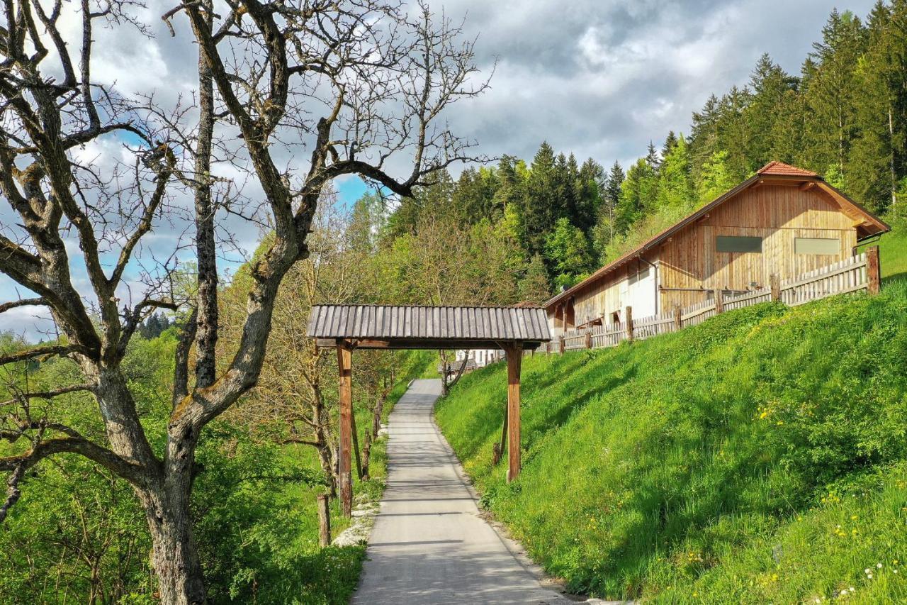 Villa Richterberg With Sauna & Hot Tub Slovenj Gradec Dış mekan fotoğraf